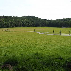 Large mixed paddock in the Lesse Valley and lower part of the wildlife park, 2021-08-15