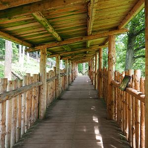 European wolverine viewing area, 2021-08-15