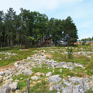 First Eurasian brown bear exhibit - Exhibit for four young male bears, 2021-08-15