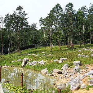First Eurasian brown bear exhibit - Exhibit for four young male bears, 2021-08-15