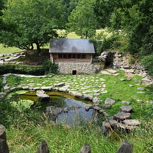 Second Eurasian brown bear exhibit - Exhibit for two old bears, 2021-08-15