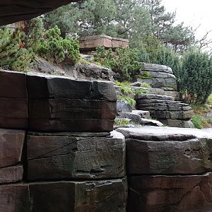 Humboldt penguin enclosure and sign