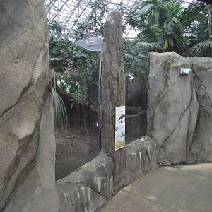 Komodo Dragon exhibit - Zooparc de Beauval - 11/2021