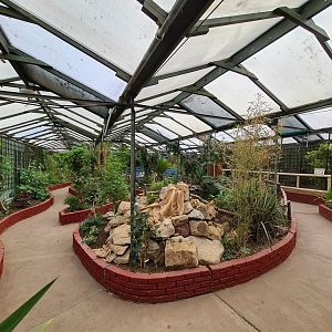 Tropical house, Call of the Wild