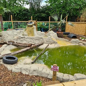 ASCO exhibit, Call of the Wild