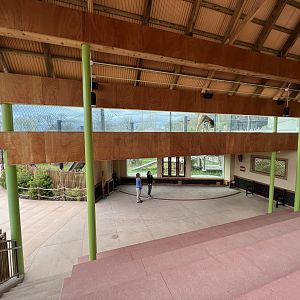 Wilds of Asia- Tiger Exhibit