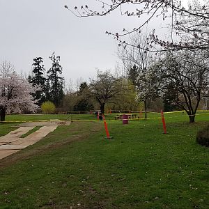 Picnic Area Construction