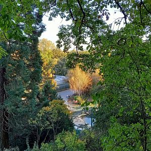 View from above into the park