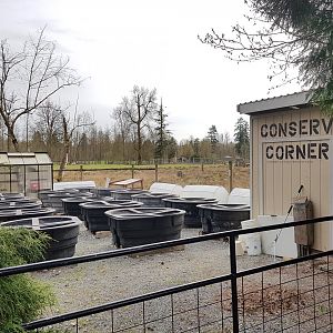 Conservation Corner