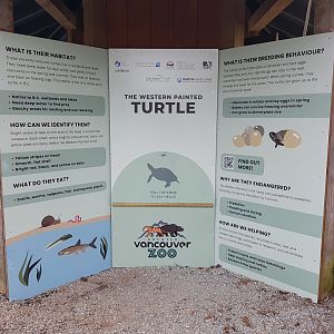 Western Painted Turtle Signage