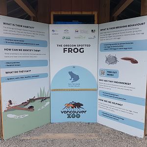 Oregon Spotted Frog Signage