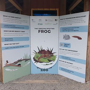 Oregon Spotted Frog Signage