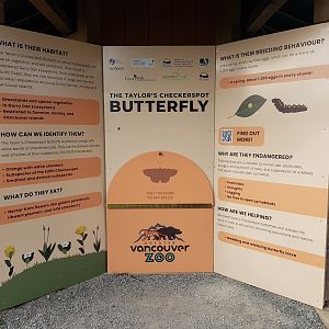 Taylor’s Checkerspot Butterfly Signage