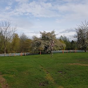 Picnic Area Construction