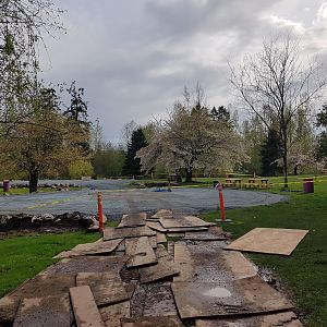 Picnic Area Construction