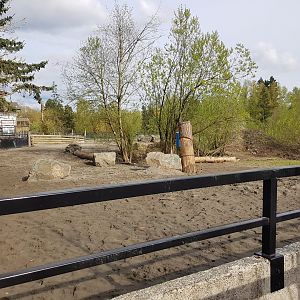 White Rhinoceros & Red River Hog Exhibit