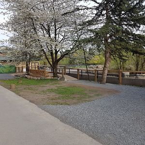 White Rhinoceros & Red River Hog Viewing Area