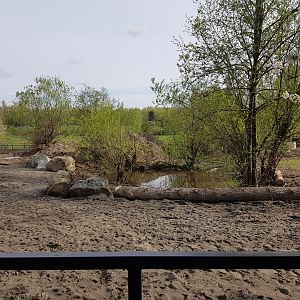 White Rhinoceros & Red River Hog Exhibit
