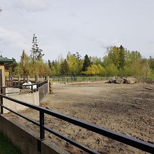 White Rhinoceros & Red River Hog Exhibit