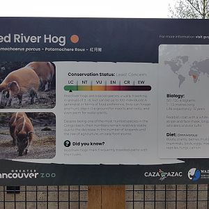 Red River Hog Sign