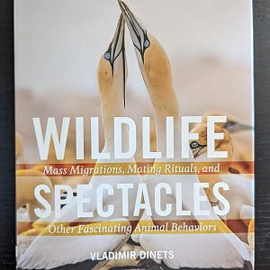 Wildlife Mass Migrations, Mating Rituals, and Spectacles Other Fascinating Animal Behaviors