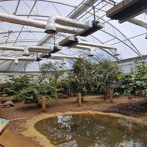 Giants of the Galapagos