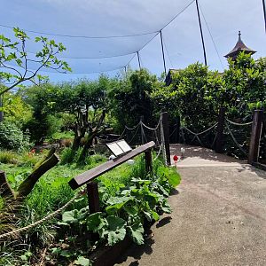 Bird Safari Walktrough Aviary