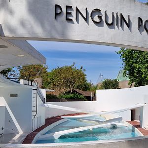 Lubetkin's Penguin Pool