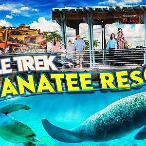 Turtle Trek & Manatee Rescue + Jewel of the Sea Aquarium