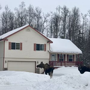 The Front Drive - Alaska