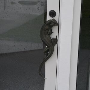 Rhinoceros Iguana Door Handle