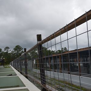 Turtle Ponds / Iguana Row