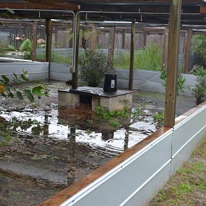 Galapagos Tortoise Enclosure