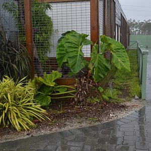 Area around Monitor Habitats