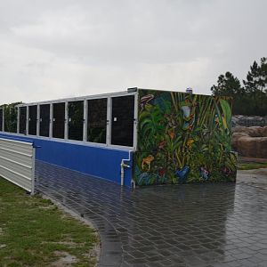 Iguanaland is better than Disneyland