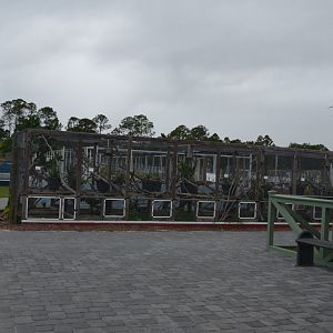 Outdoor Enclosures for Iguanas