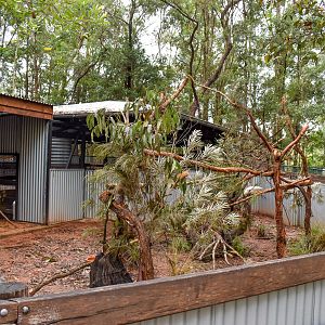 New Cockatoo Enclosure