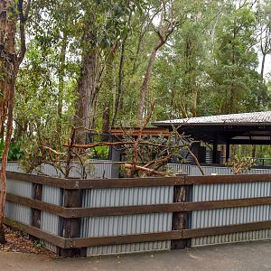 New Cockatoo Enclosure