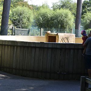 2021 - Prairie Dog Habitat Fencing