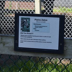 2021 - Typical Signage