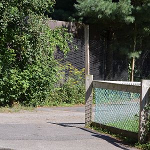 2021 - Typical Pathway