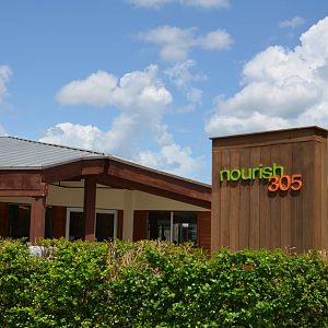 Nourish 305 Cafe