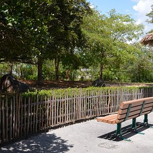 Malayan Tapir Habitat