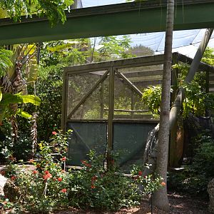 Aviary Exterior