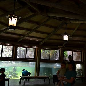 Aviary Interior + Fish