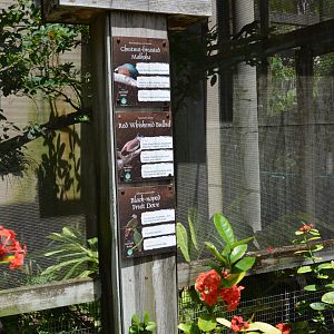 Aviary Interior - Doves