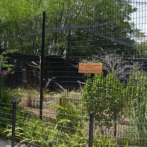 Pheasant and Curassow Yard