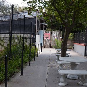 Grand Aviary Walkway