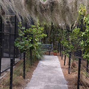 Grand Aviary and Macaw Aviary Walkway