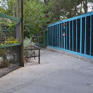 Misc. Animal Housing: Gopher Tortoise, Asian Water Monitor, Rescued Birds, etc.